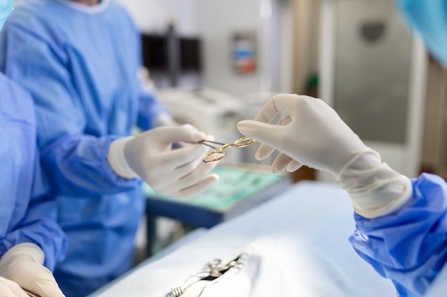 surgical-gloves1.jpg